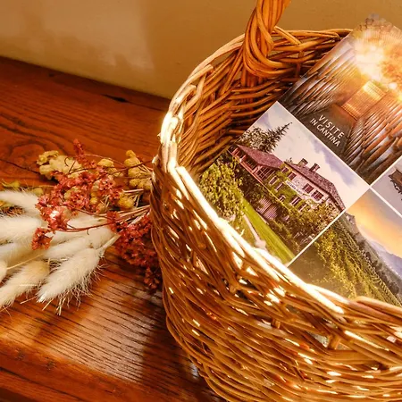 Hébergement de vacances Le Vigne Panoramiche Posmon