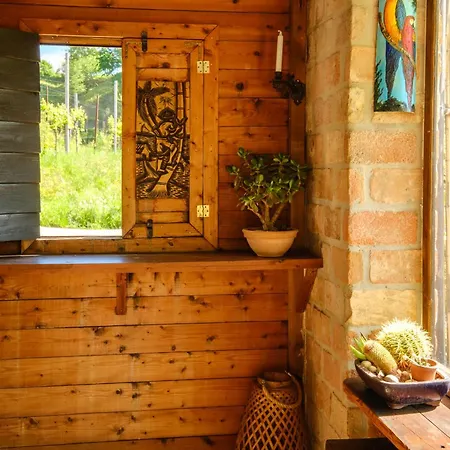 Hébergement de vacances Le Vigne Panoramiche *