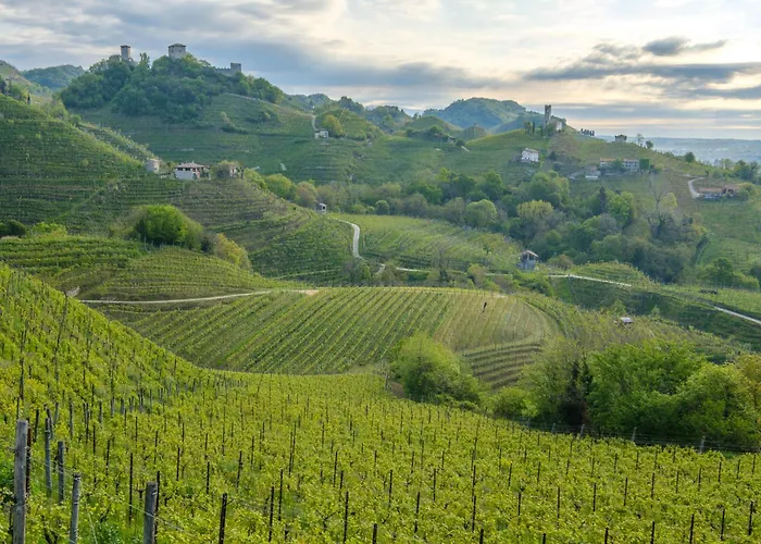 Le Vigne Panoramiche Posmon